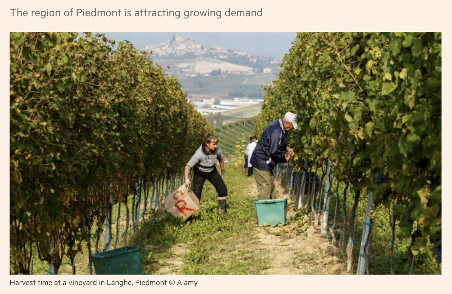 Financial Times - Italian wine investors return to ancient pedigrees